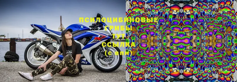 Галлюциногенные грибы Cubensis  Серпухов 